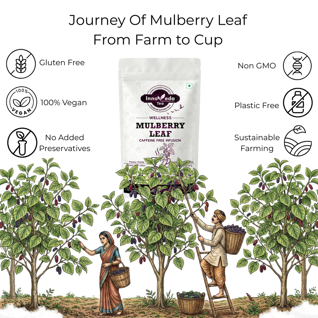 Weißer Maulbeerblättertee