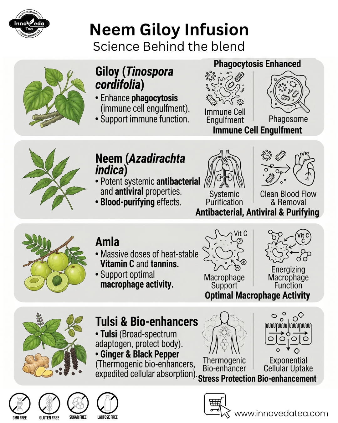 Neem Giloy Tee