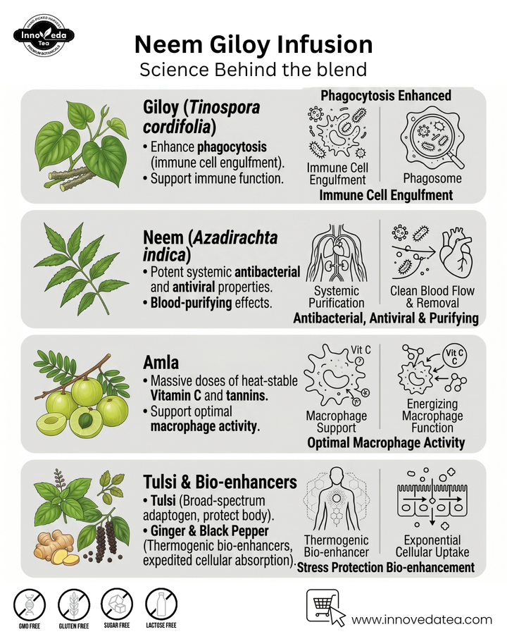 Neem Giloy Tee