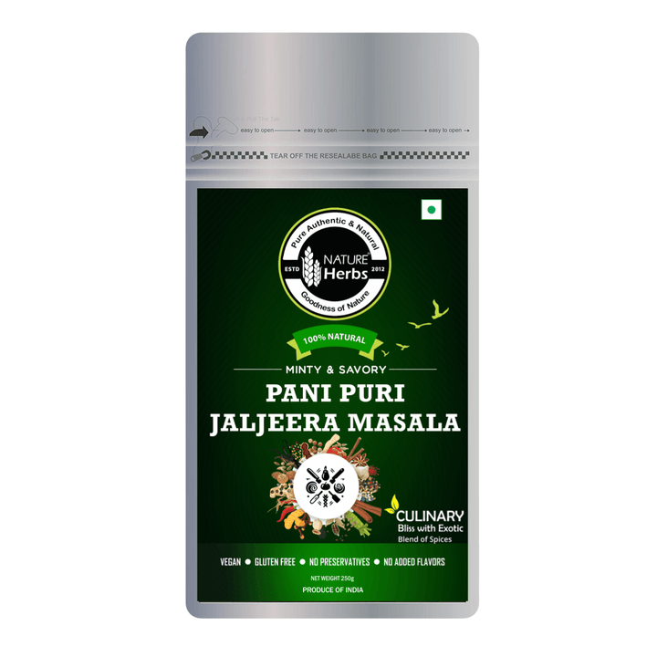 Pani Puri Jaljeera Masala 250 grams