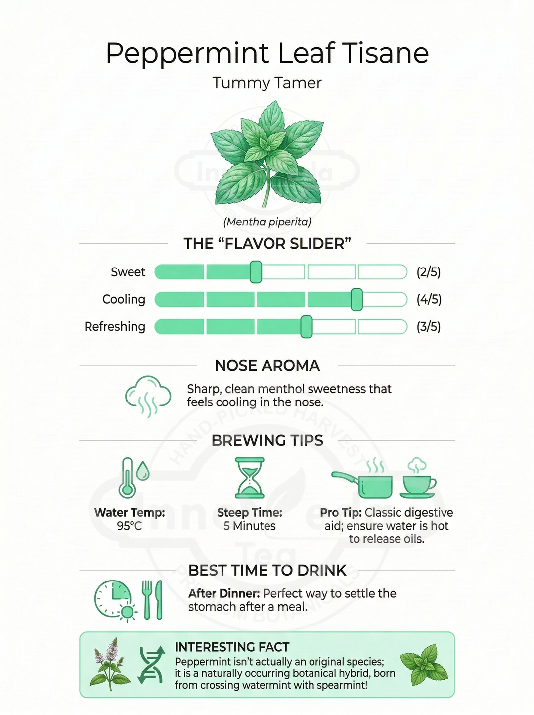 Peppermint Tisane 50 Grams