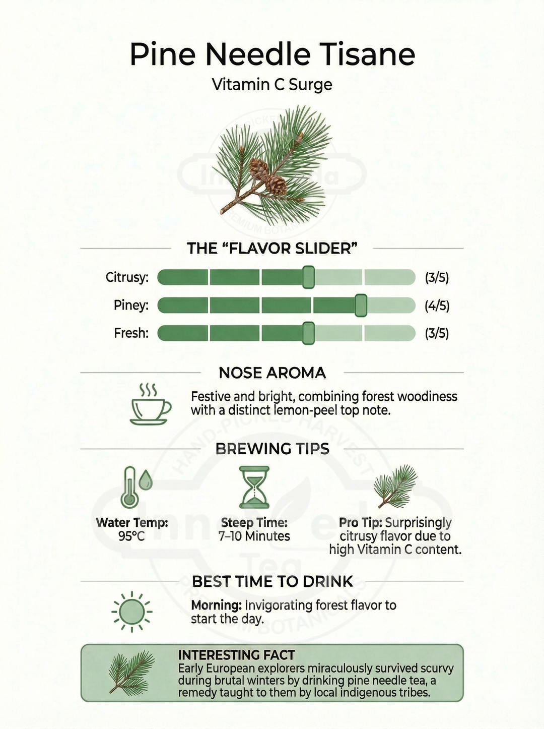 Pine Needle Tisane 50 Grams