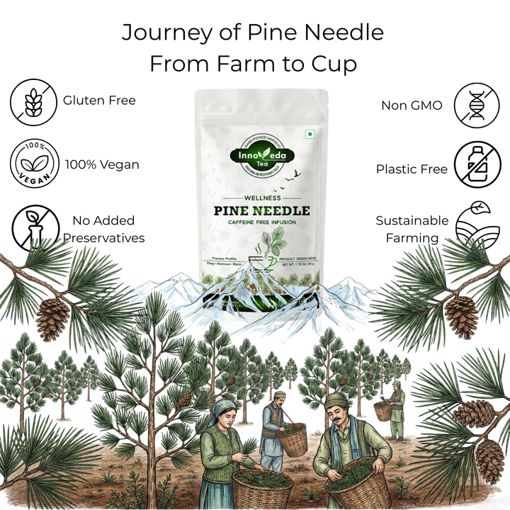 Pine Needle Tisane 50 Grams