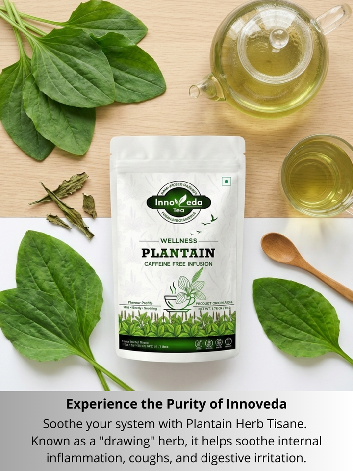 Plantain Tisane 50 Grams