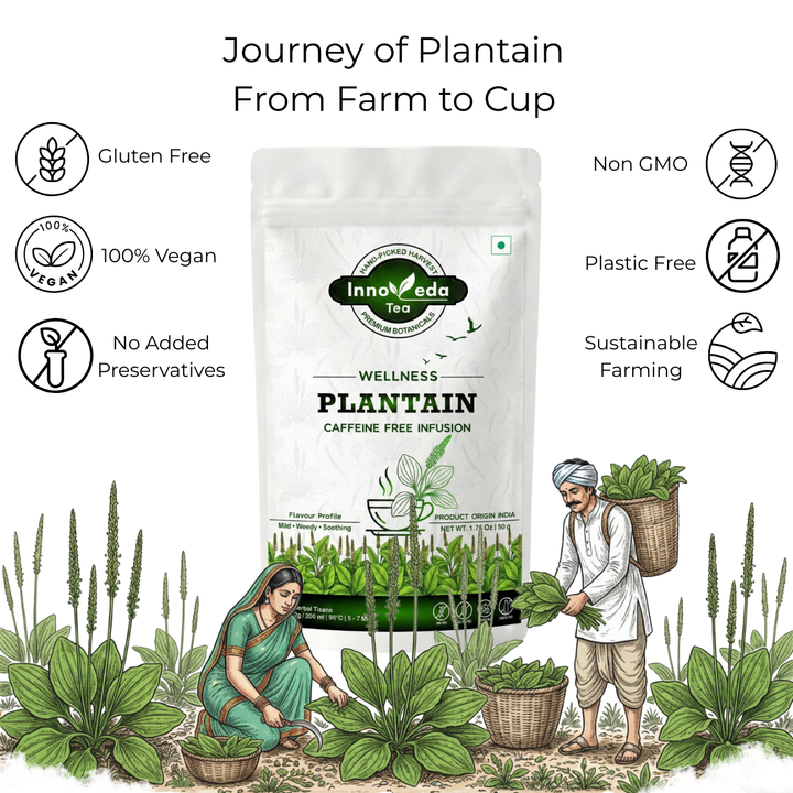 Plantain Tisane 50 Grams