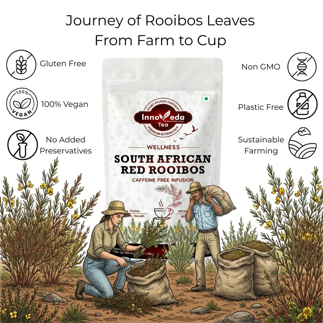 Rooibos Tea - Red Bush Tisane 100 Grams - INNOVEDA