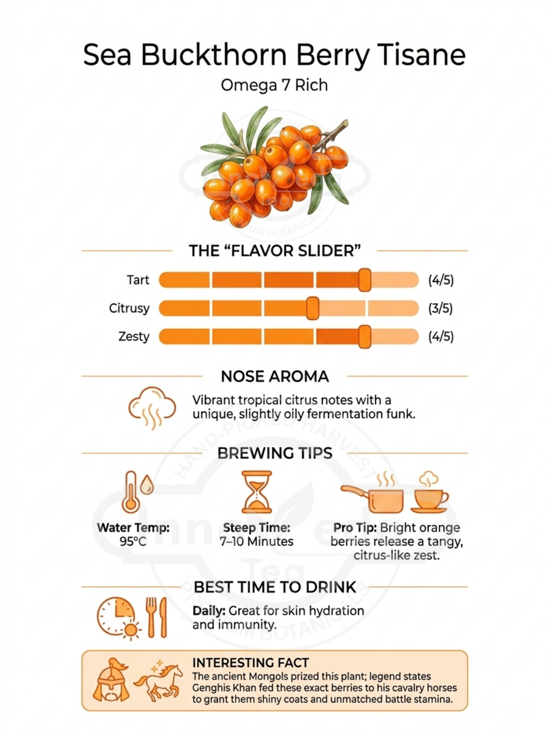 Sea Buckthorn Berry Tisane 100 Grams