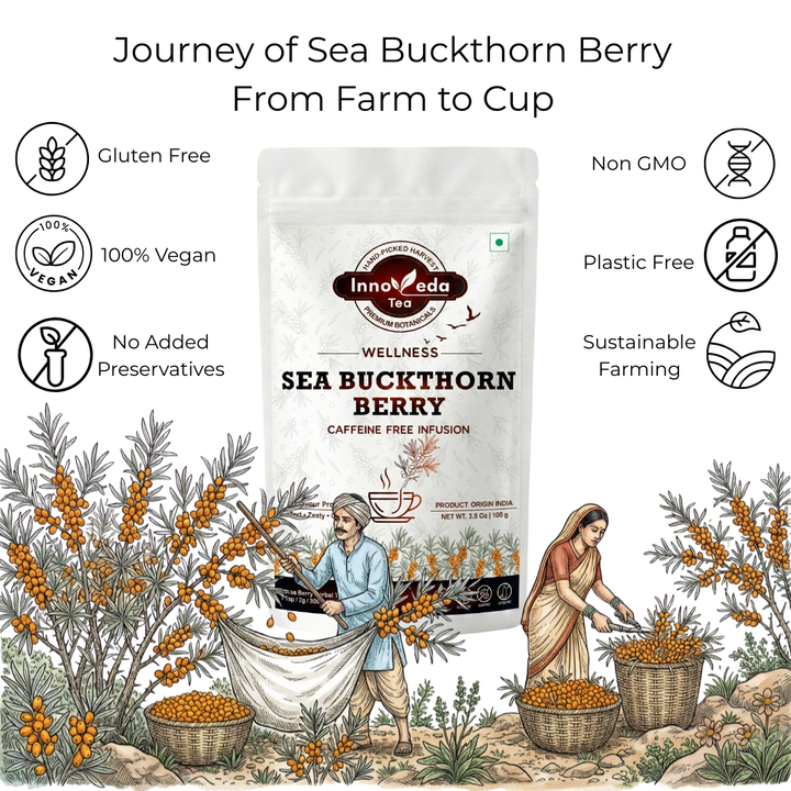 Sea Buckthorn Berry Tisane 100 Grams