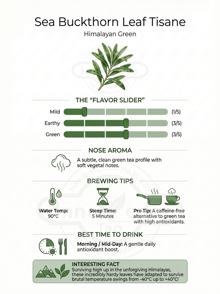 Thé à l'argousier (thé aux feuilles de baies de l'Himalaya)