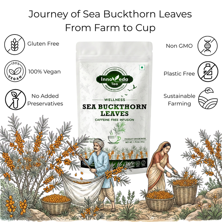 Sea Buckthorn Leaf Tisane 50 Grams