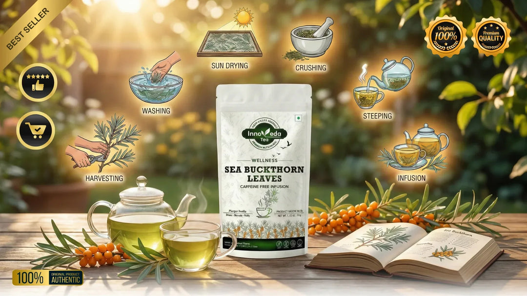 Sea Buckthorn Leaf Tisane 50 Grams - INNOVEDA