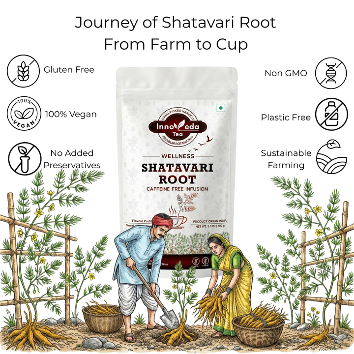 Shatavari-Wurzeltee für das Wohlbefinden von Frauen
