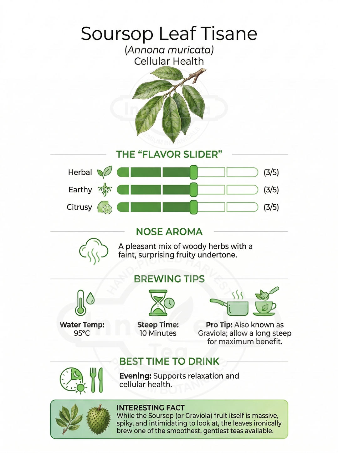 Soursop Leaf Tisane 50 Grams
