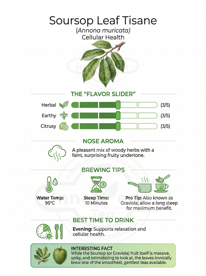 Soursop Leaf Tisane 50 Grams