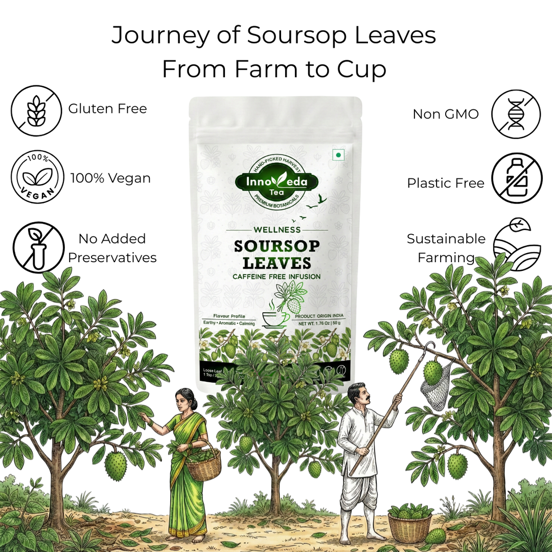 Soursop Leaf Tisane 50 Grams