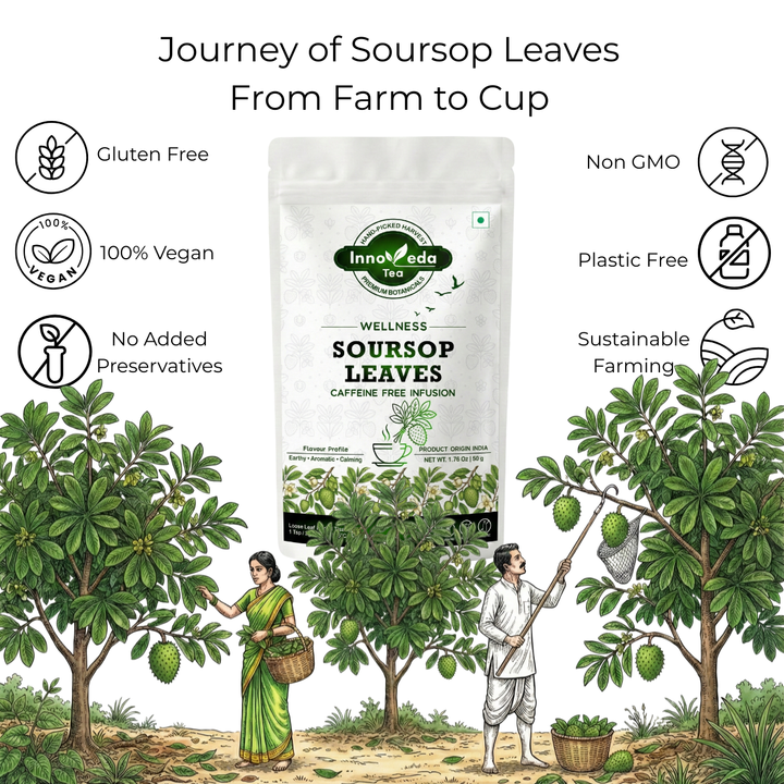 Soursop Leaf Tisane 50 Grams
