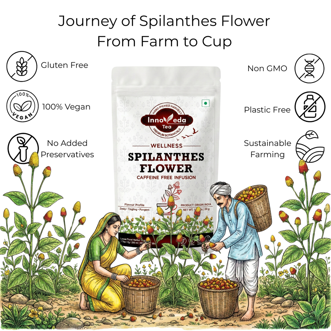 Spilanthes Flower Tisane 50 Grams