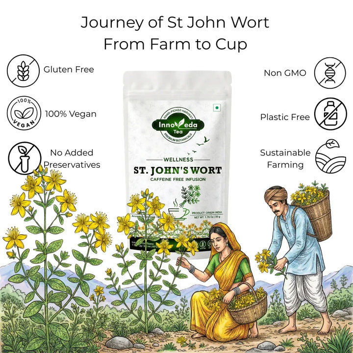 St. John Wort Tisane 50 Grams - INNOVEDA