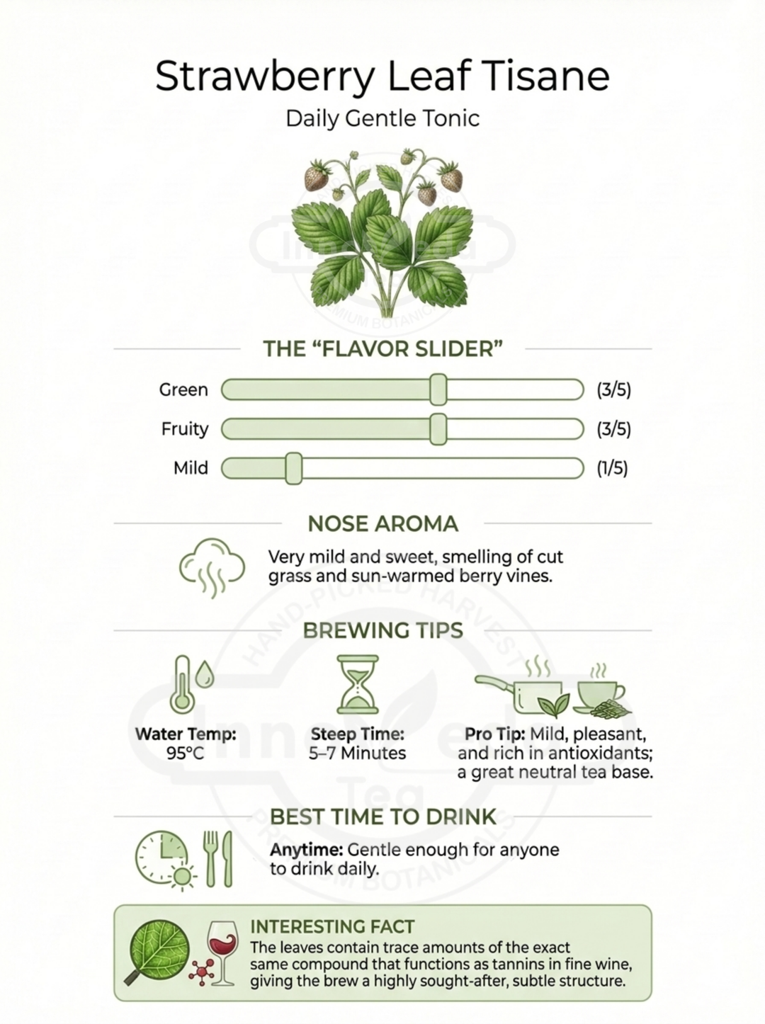 Strawberry Leaf Tisane 50 Grams