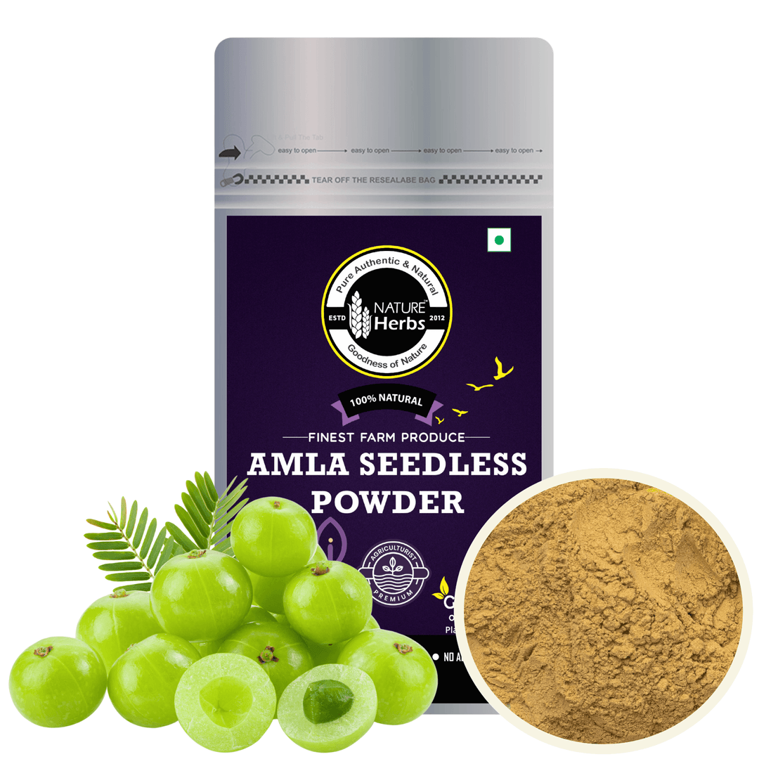 Amla Seedless Powder (Churna) - INNOVEDA
