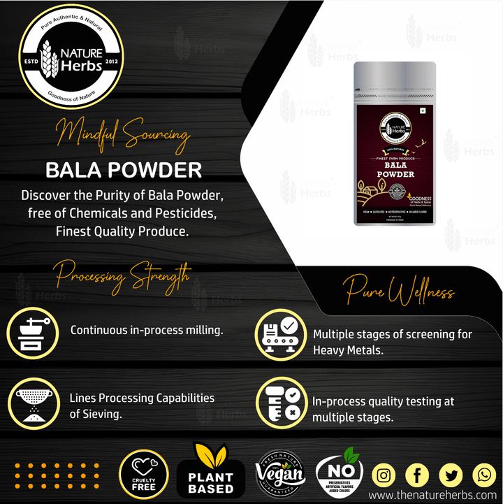 Bala Powder (Churna) For Weight management - INNOVEDA