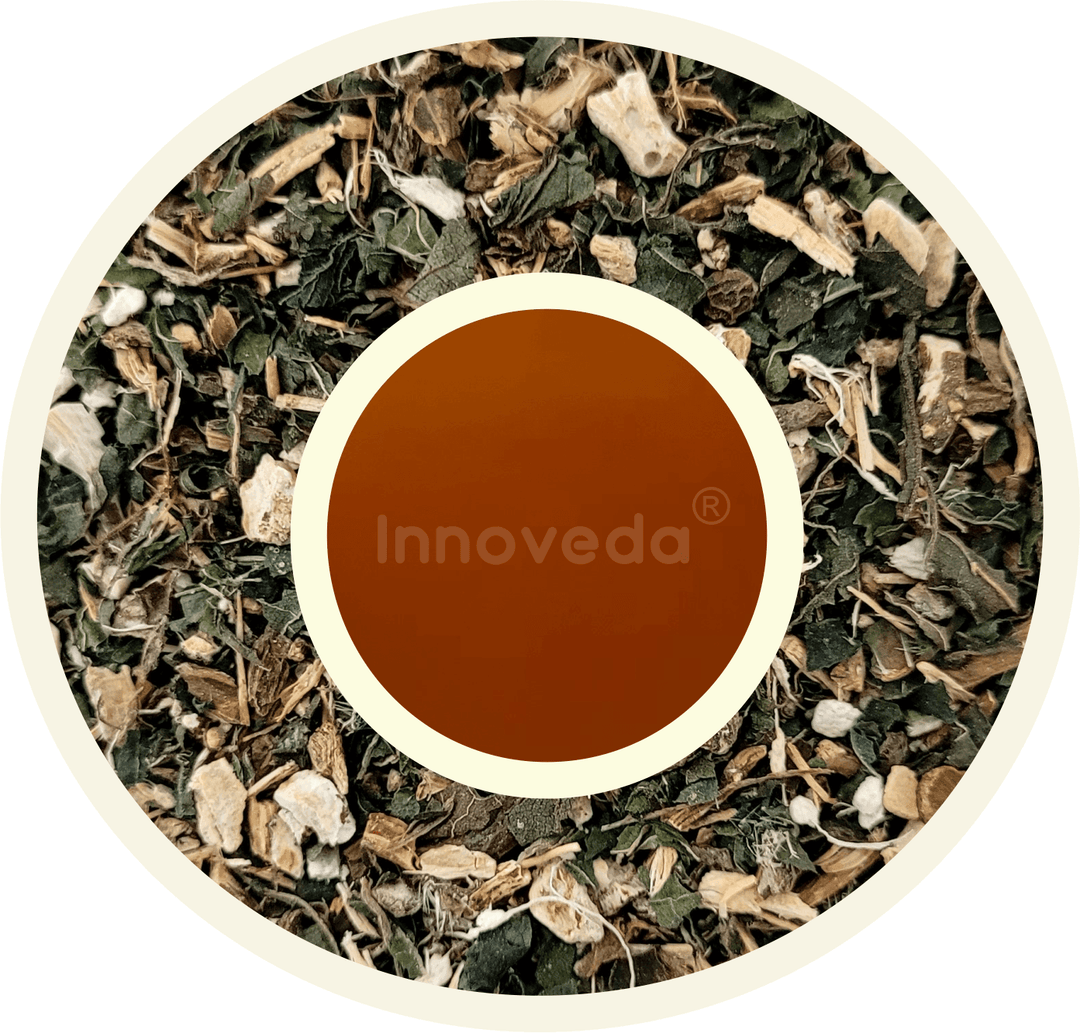 Burdock Detox Tea For Colon Care (30 Tea Cups) 50 Grams - INNOVEDA