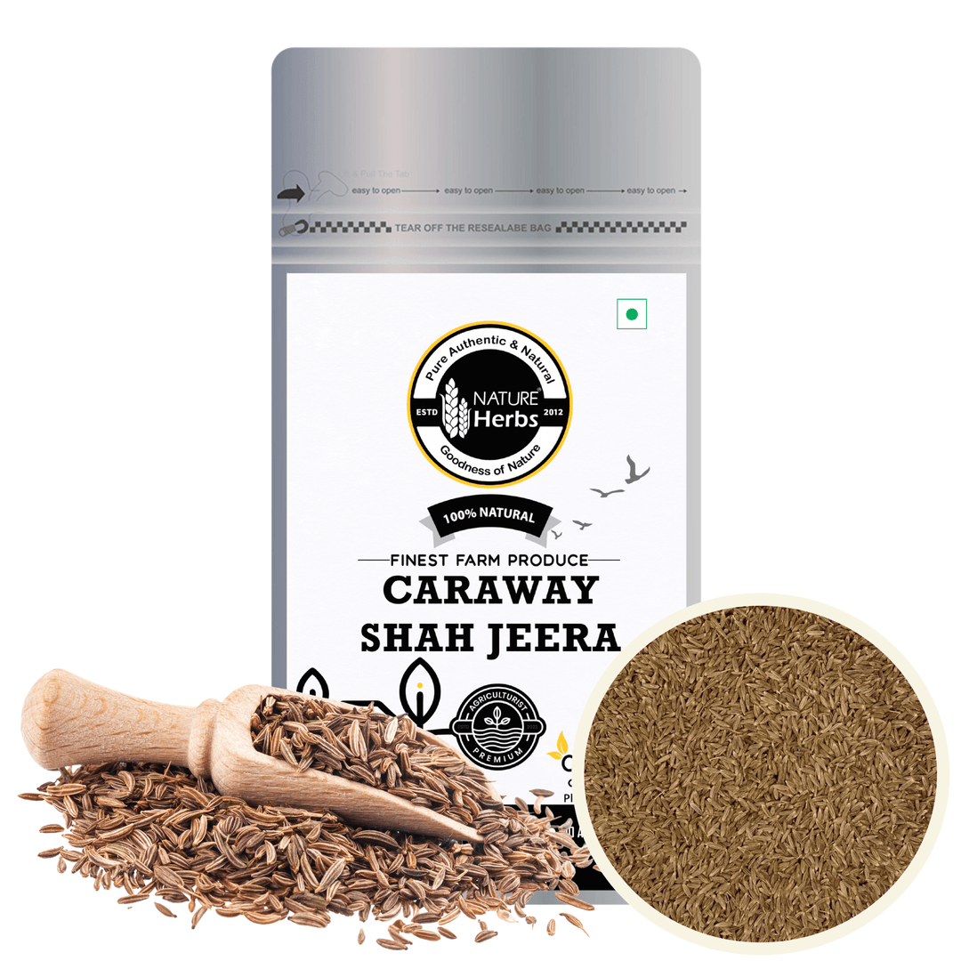 Caraway Seeds Shah Jeera Carum carvi - INNOVEDA