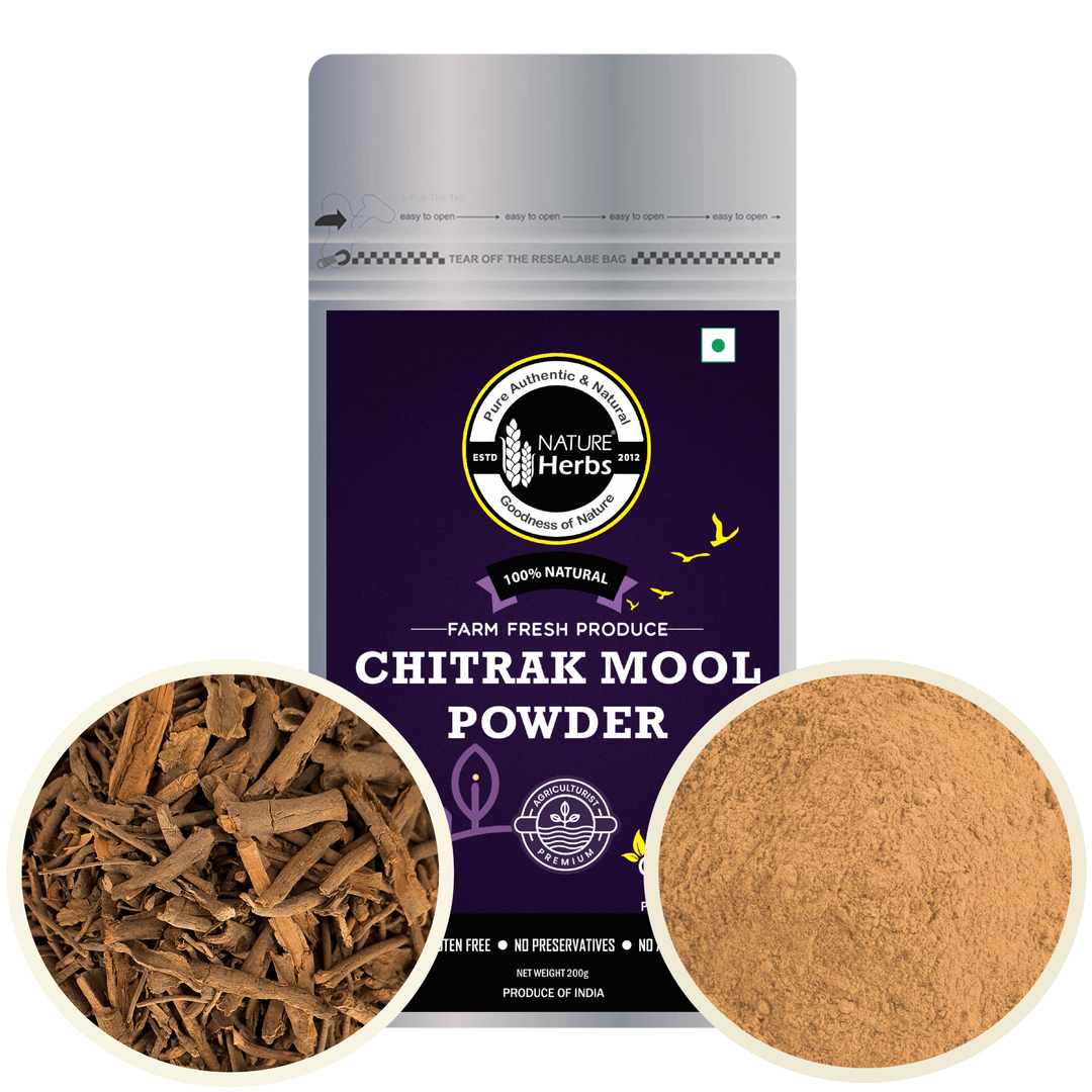Chitrak Mool Powder (Churna) - INNOVEDA