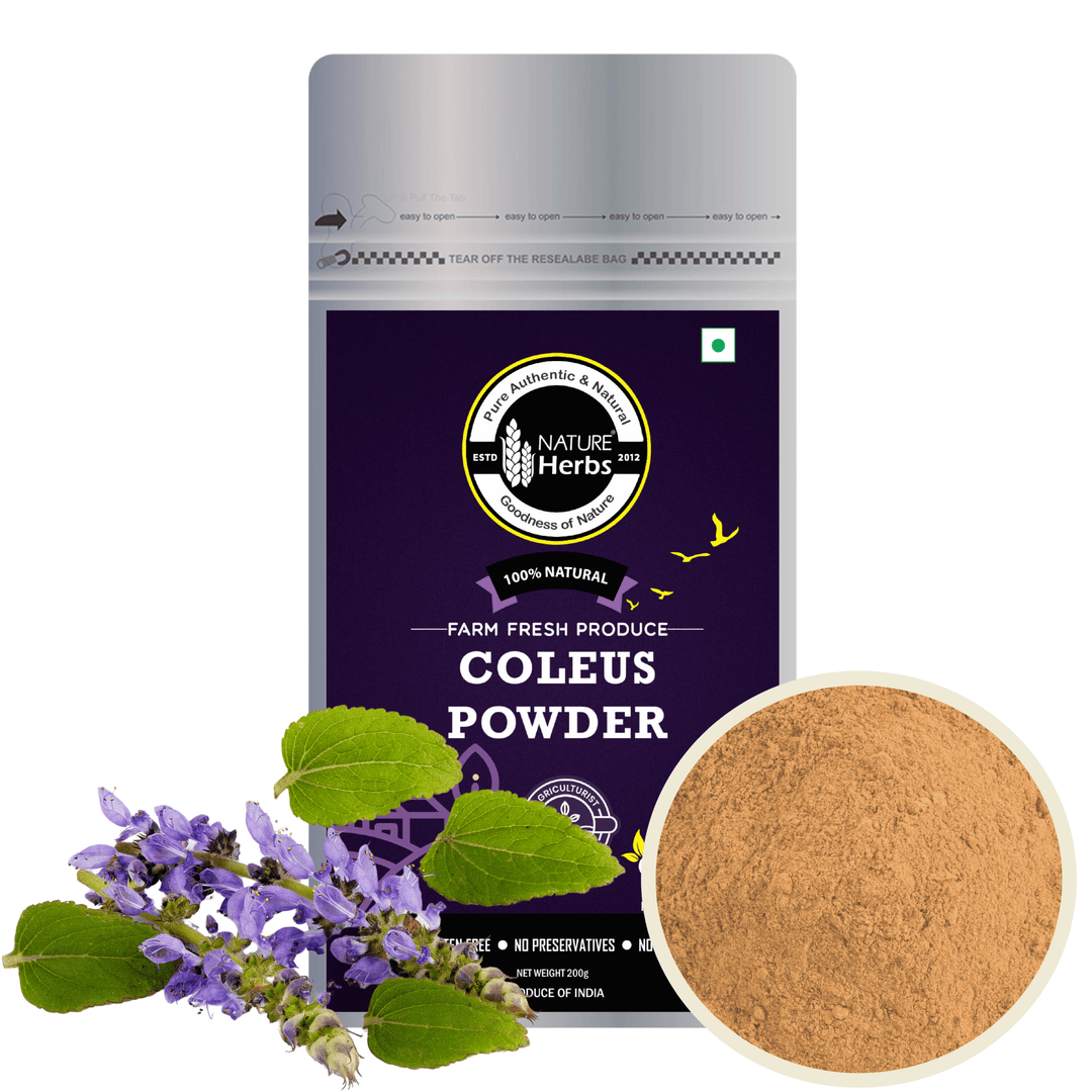 Coleus / Makandi Root Powder Coleus forskohlii - INNOVEDA