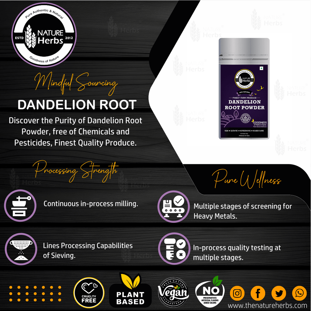Dandelion Root Powder For Liver Health - INNOVEDA