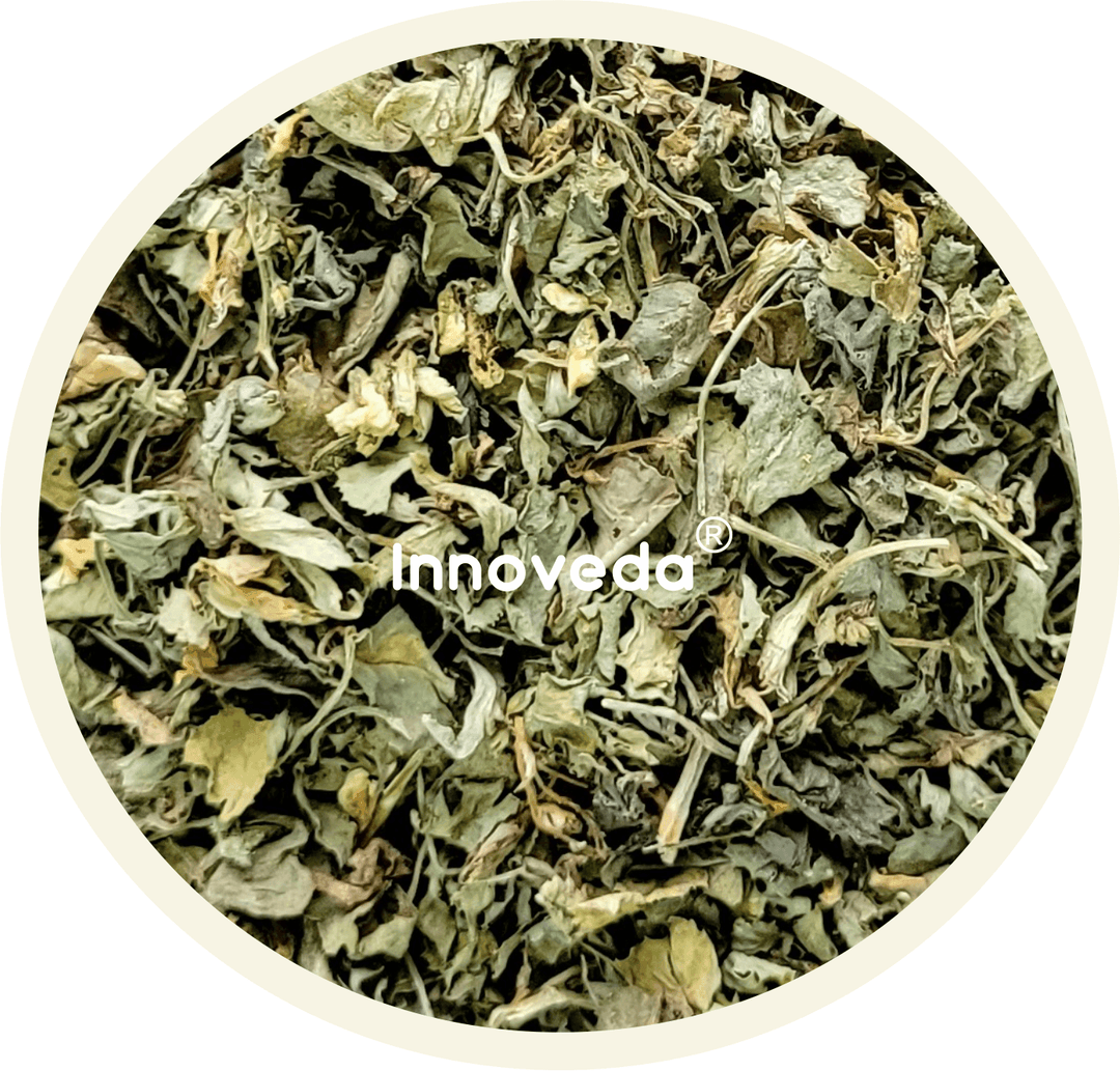 Fenugreek Leaf Tea For Nursing Mom (30 Tea Cups) 50 Grams - INNOVEDA