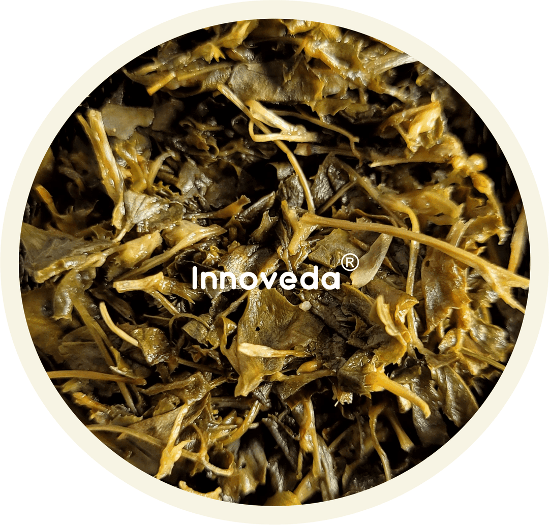 Fenugreek Leaf Tea For Nursing Mom (30 Tea Cups) 50 Grams - INNOVEDA