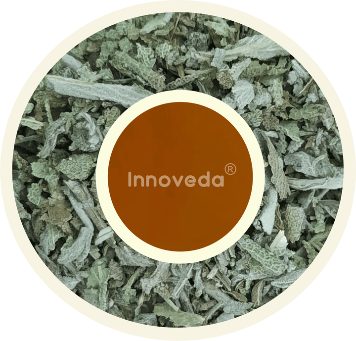 Holy Sage Leaf Tea (25 Tea Cups) 28 Grams - INNOVEDA