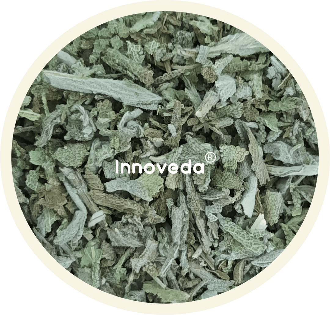 Holy Sage Leaf Tea (25 Tea Cups) 28 Grams - INNOVEDA