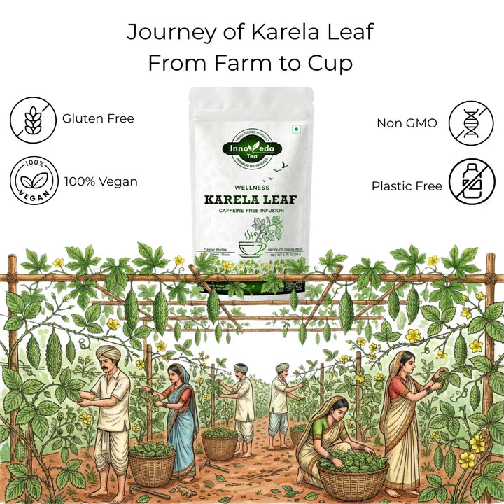 Karela Leaf Infusion 50 Grams - INNOVEDA
