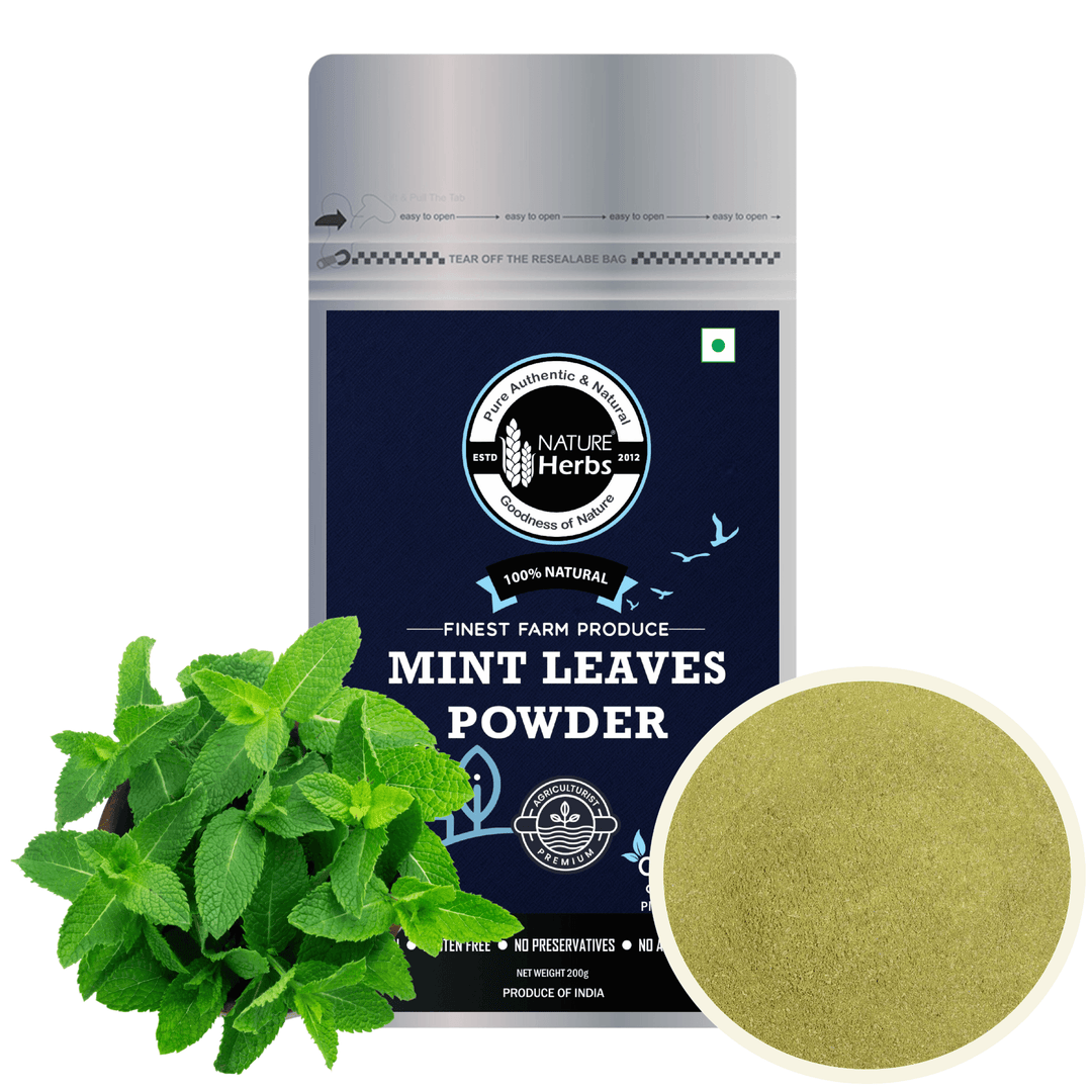 Mint Leaves Powder - INNOVEDA