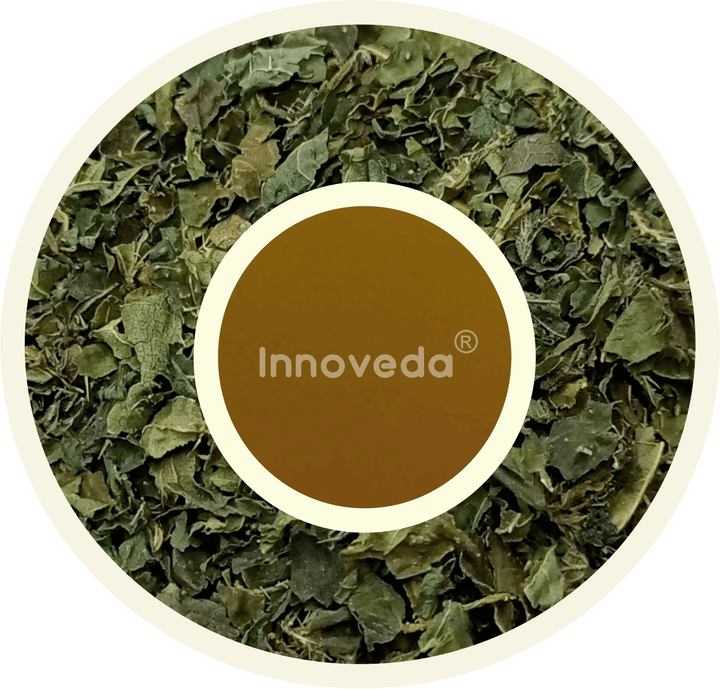 Nettle Leaf Tea For Hair Health (30 Tea Cups) 50 Grams - INNOVEDA