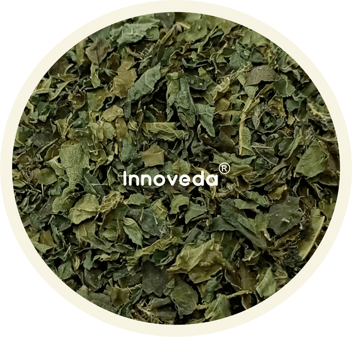 Nettle Leaf Tea For Hair Health (30 Tea Cups) 50 Grams - INNOVEDA