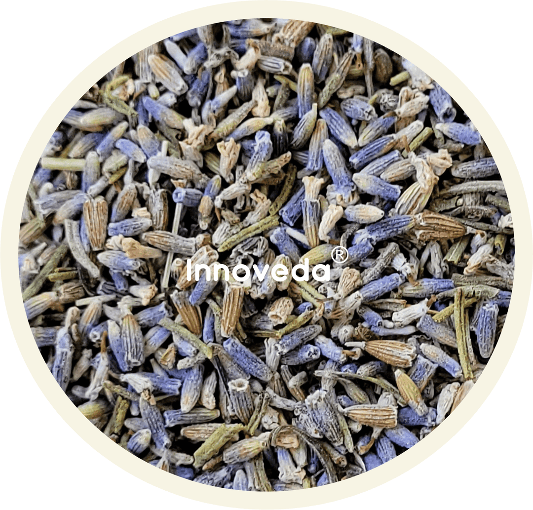 Pure Lavender Buds Tea To Enhance Sleep Quality (25 Tea Cups) 28 Grams - INNOVEDA