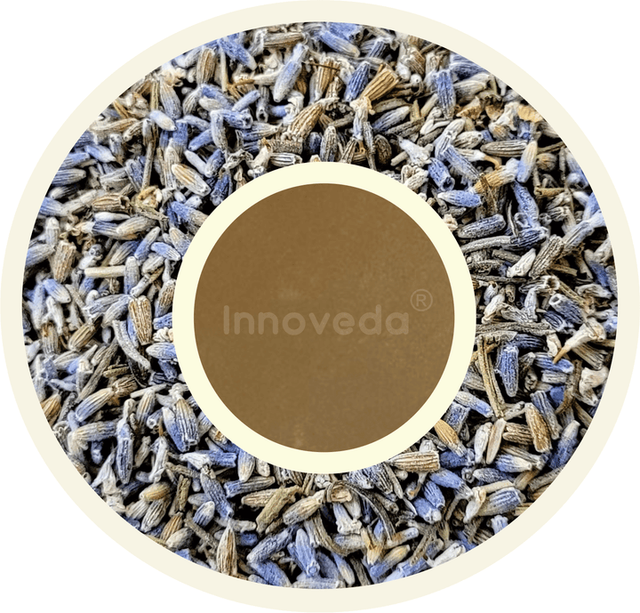 Pure Lavender Buds Tea To Enhance Sleep Quality (25 Tea Cups) 28 Grams - INNOVEDA