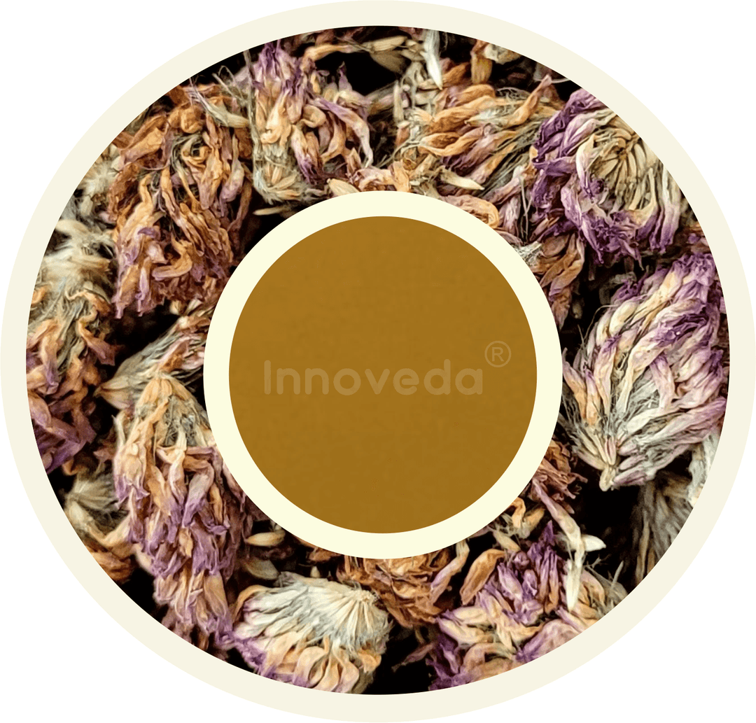 Red Clover Flower Tea For Men & Women Wellness (25 Tea Cups) 28 Grams - INNOVEDA