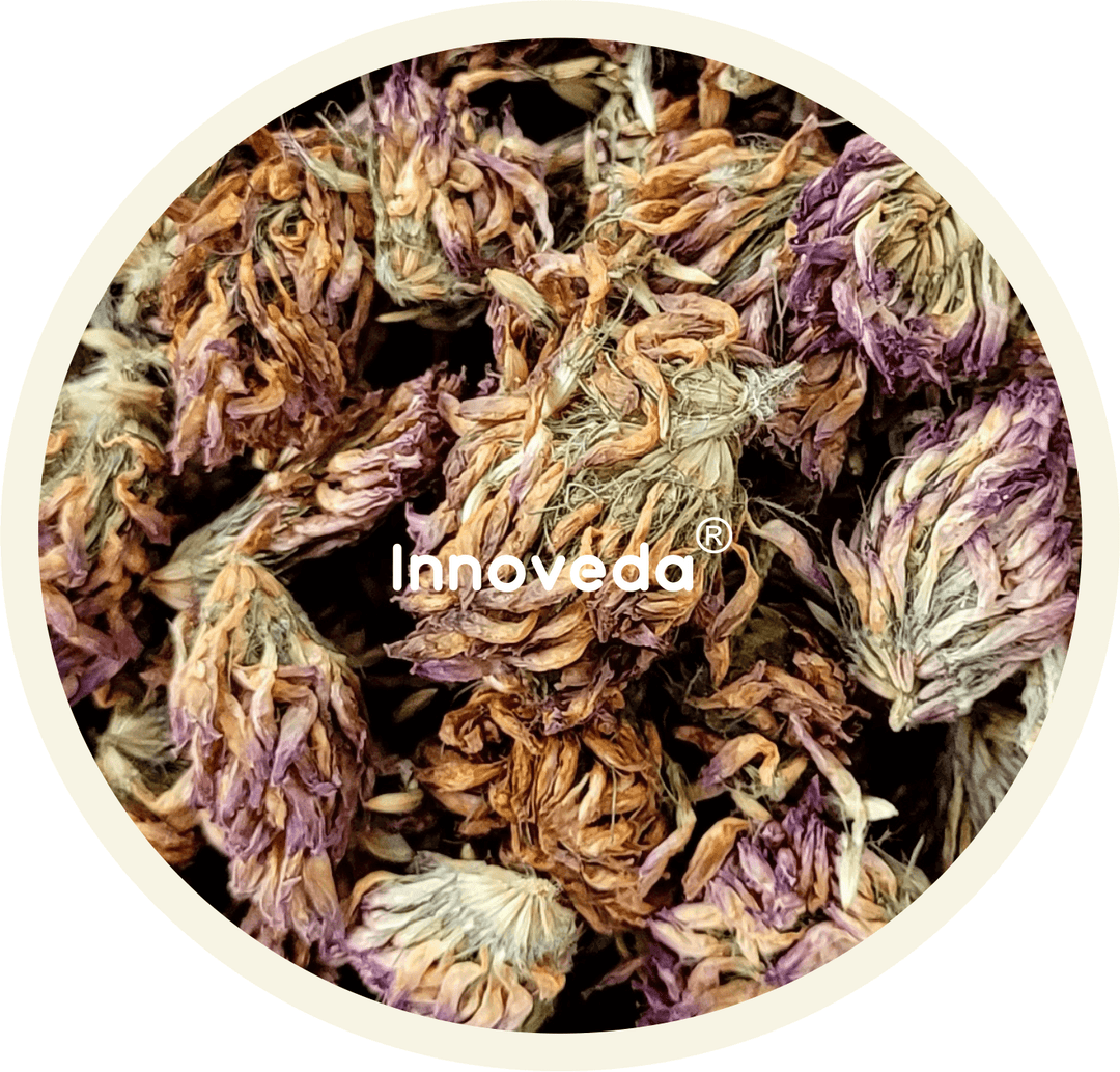 Red Clover Flower Tea For Men & Women Wellness (25 Tea Cups) 28 Grams - INNOVEDA