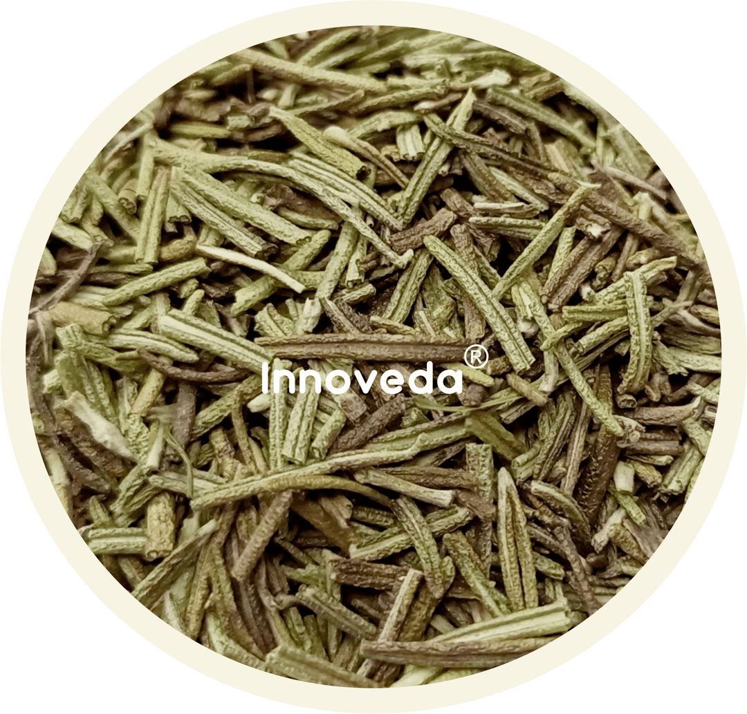 Rosemary Leaf Tea Help Improves Cognitive Function (30 Tea Cups) 50 Grams - INNOVEDA