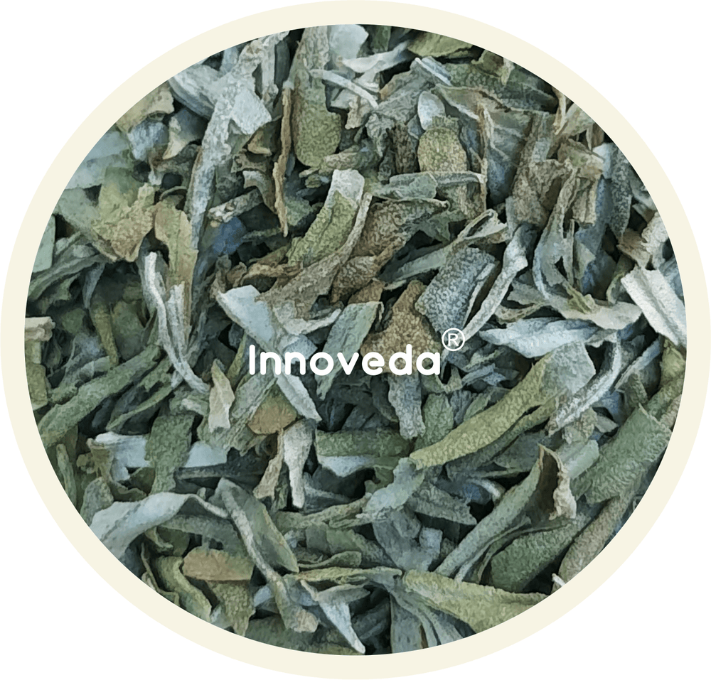 Sea Buckthorn Tea (Himalayan Berry Leaf Tea) - INNOVEDA
