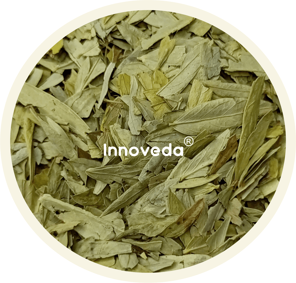 Senna Pure Leaves For Digestion Support - INNOVEDA