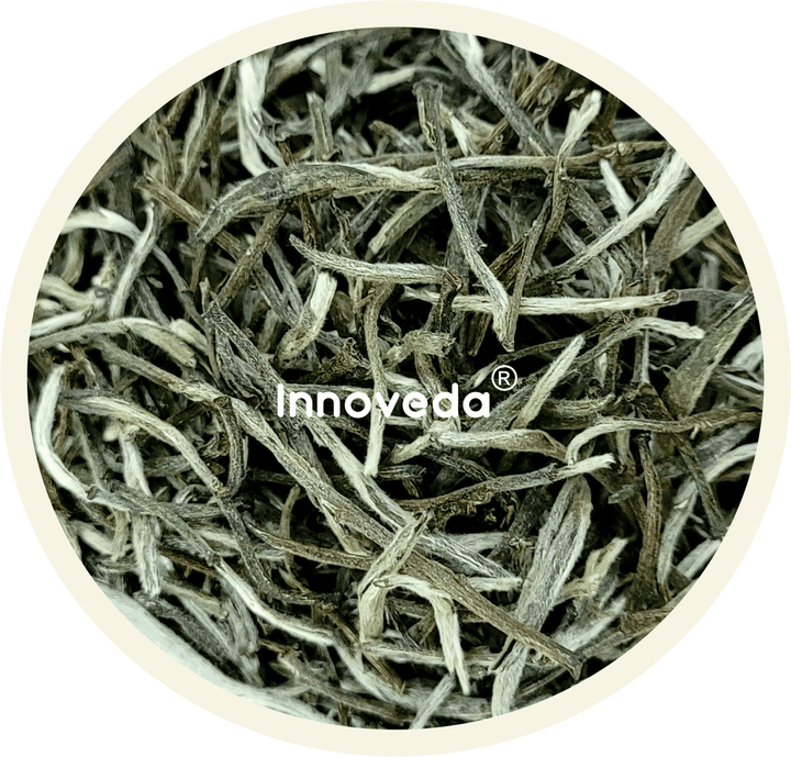 Silver Needle White Tea (25 Tea Cups) 28 Grams - INNOVEDA