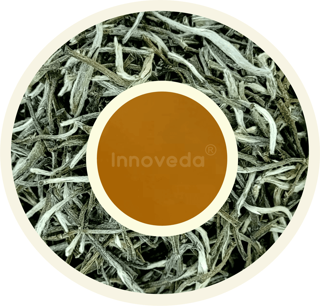 Silver Needle White Tea (25 Tea Cups) 28 Grams - INNOVEDA