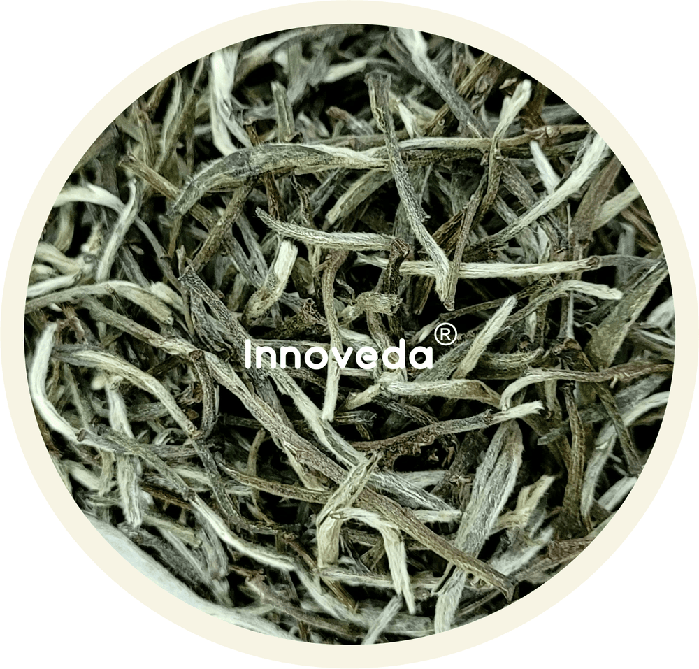 Silver Needle White Tea - INNOVEDA