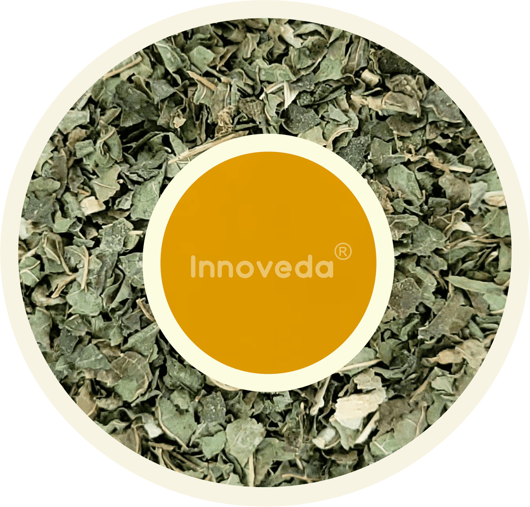 White Mulberry Leaf Tea Help Reduce Inflammation & Uric Acid (30 Tea Cups) 50 Grams - INNOVEDA