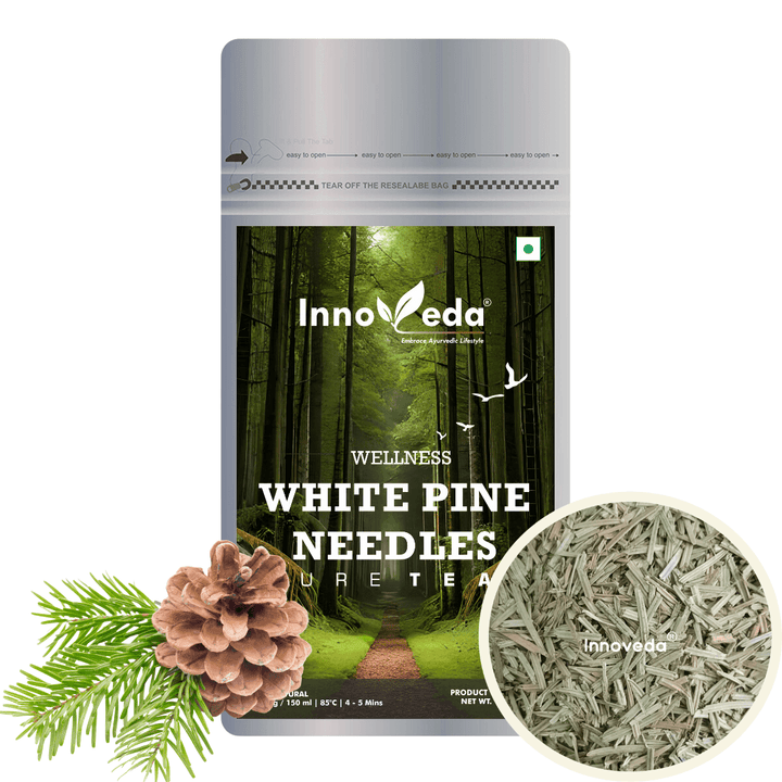 White Pine Needle Tea Rich in Vitamin A & C (30 Tea Cups) 50 Grams - INNOVEDA